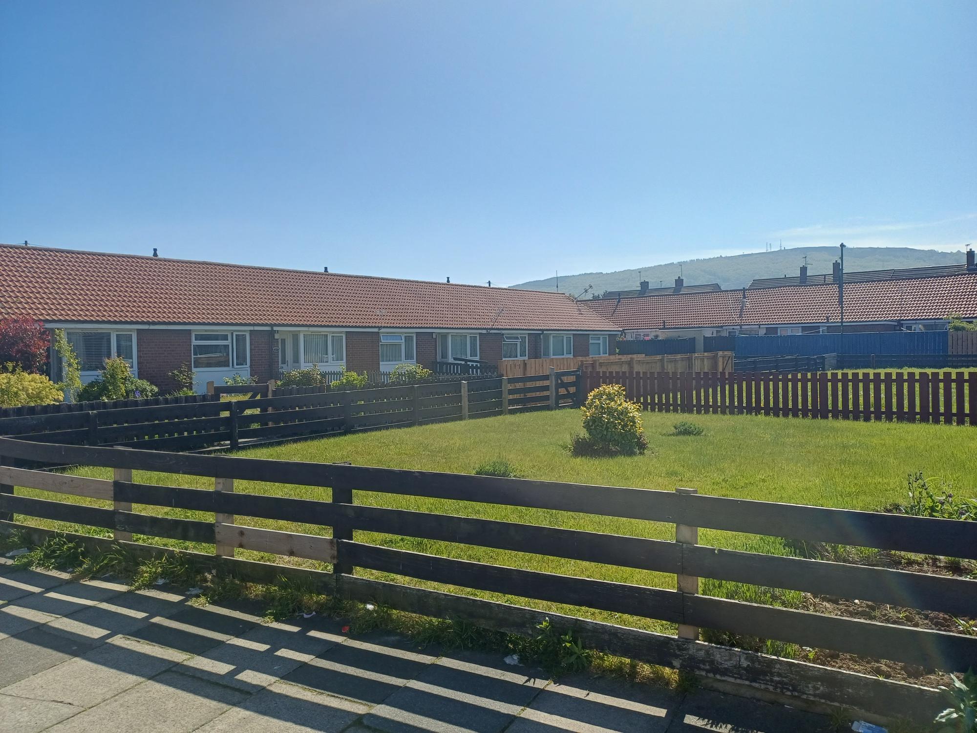 Grass garden with a wooden fence around it